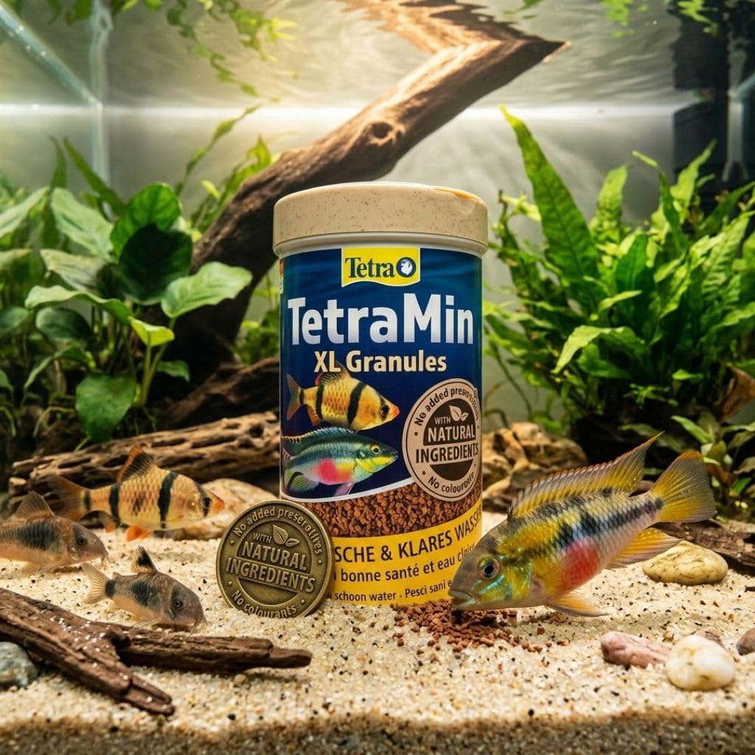TetraMin XL Granules - Mangime per pesci a lento affondamento per pesci ornamentali di grandi dimensioni nello strato d'acqua centrale dell'acquario, lattina da 250 ml