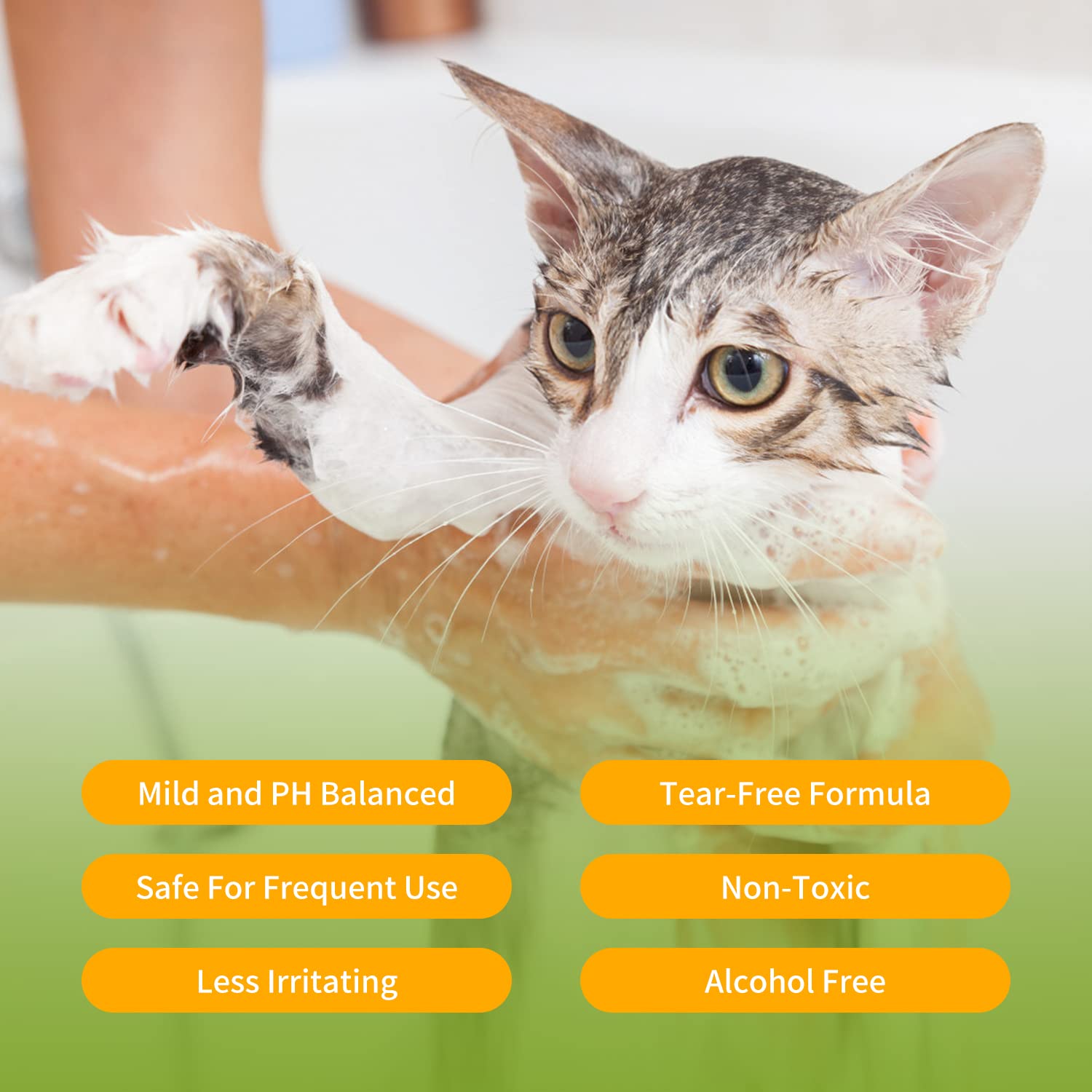 Nobleza Shampoo per Cani per Gatti, Shampoo per Cuccioli di Gattini naturale e Pelli Sensibili e Delicate PH Neutro, Dermatite, No Parabeni, Ftalati con Profumo di Cocco 250ml