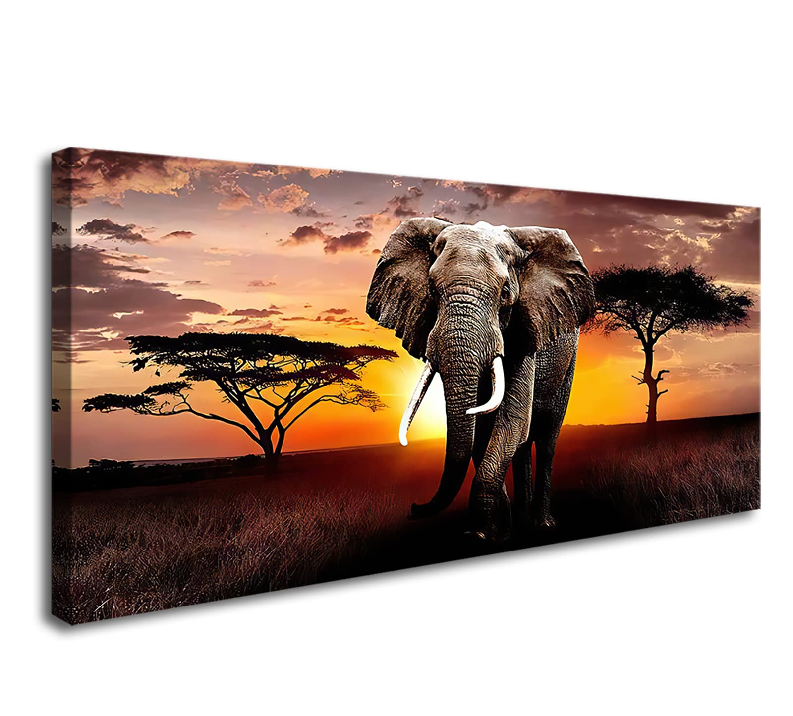 XXMWallArt Wild Elephant Canvas