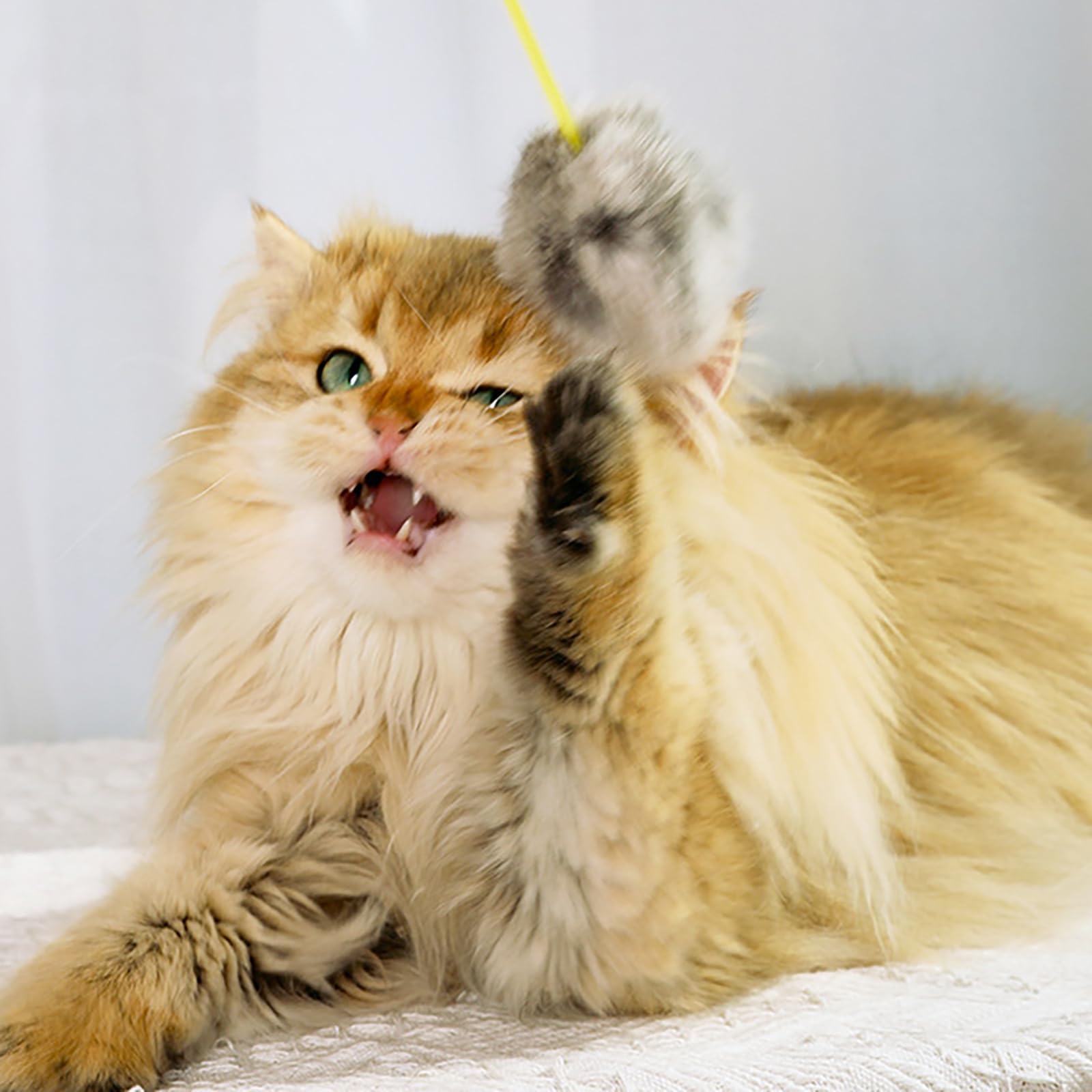 Amazon | 猫じゃらし ウサギの毛猫おもちゃ ランダムカラー ねこの尻尾