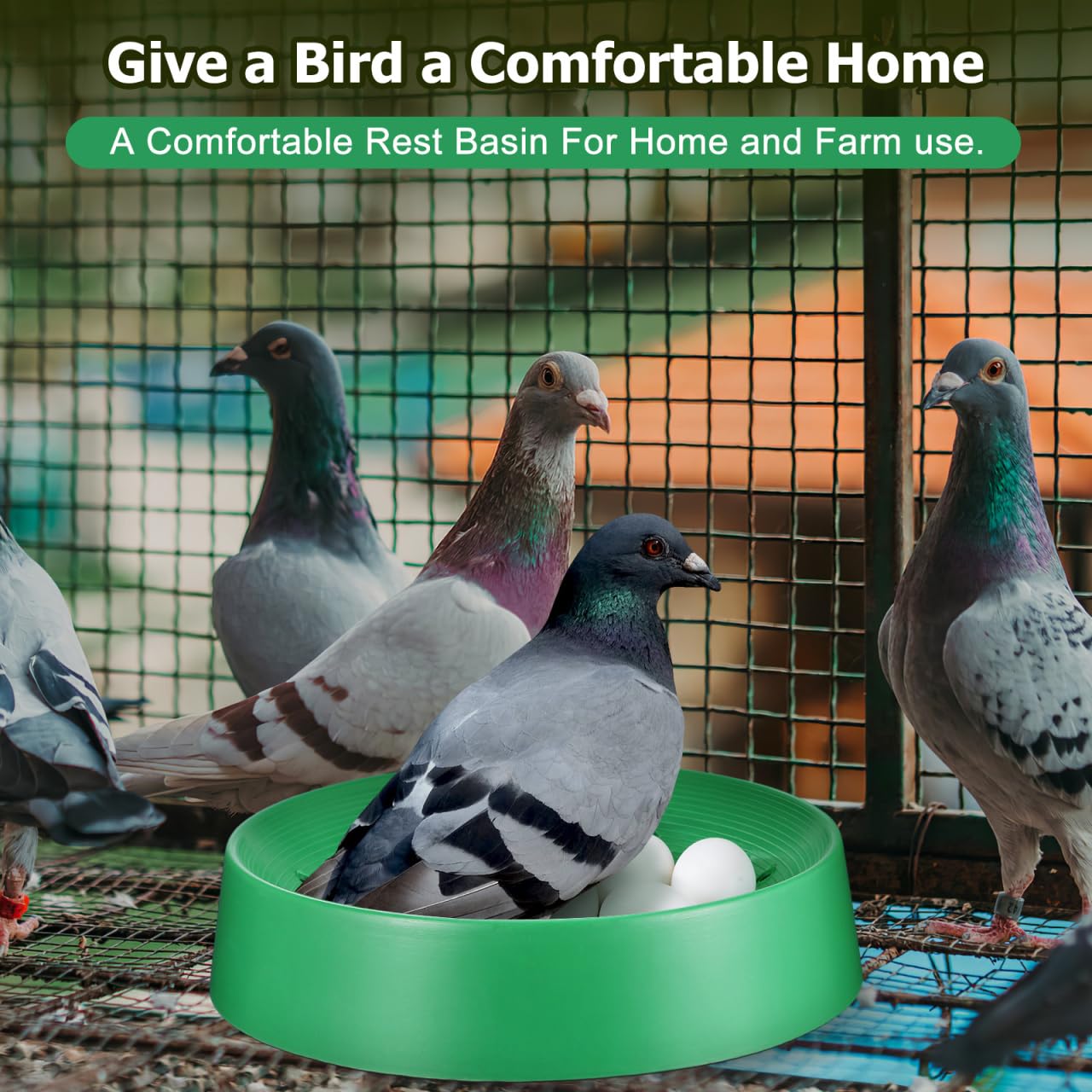 Happyyami 10 Uds. de plástico nido de pájaros palomas nido de palomas caja de incubación de cría de huevos de cría de palomas palomas pájaros pequeños mascotas