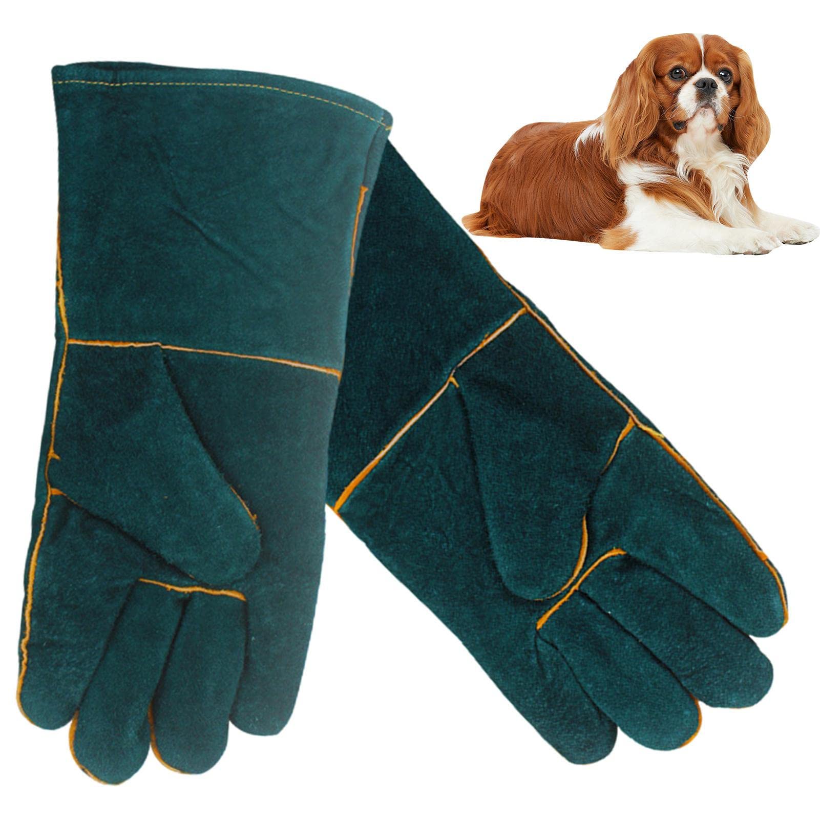 schwarze handschuhe damen Lederhandschuhe Damen Schwarz - Touchscreen main image 0