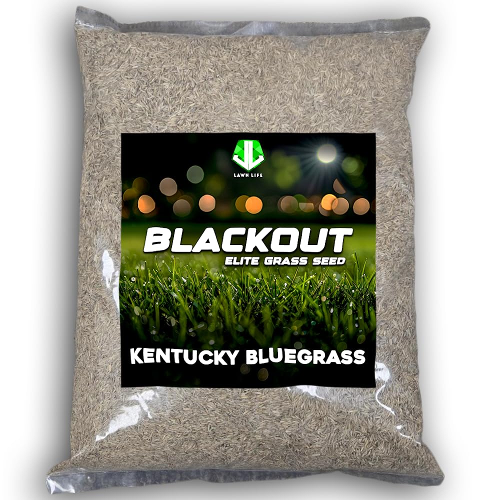 NightShift (Formerly Blackout) Kentucky Bluegrass Grass Seed (5 lbs)