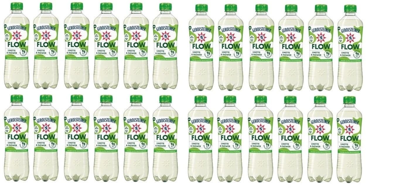 24 Flaschen Gerolsteiner Flow Limette & Ingwer a 0,5l EINWEG Pfand + Space Keks von Onlineshop Bormann
