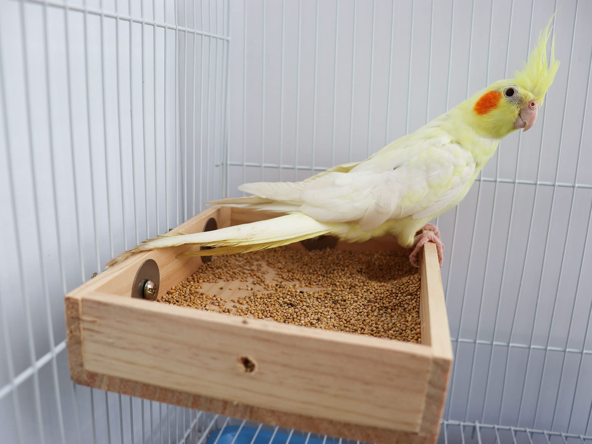 Bird Feeding Cups, Natural Wooden Parrot Perch Stand, Birds Food Dish, Parakeets Feeder Bowl, Cage Accessories for Small Animals Rat Hamster Guinea Pig Chinchillas Budgies Cockatiels Love Birds - image 3