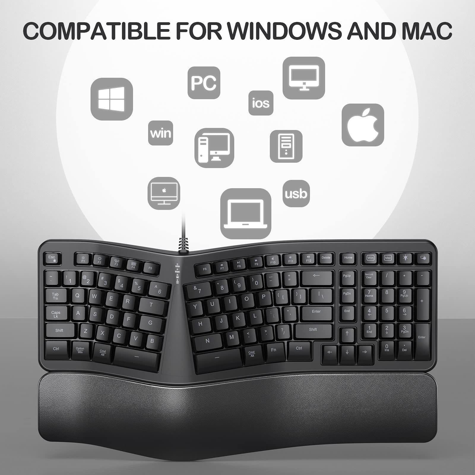 https://m.media-amazon.com/images/I/71NQeM5BWbL.jpg