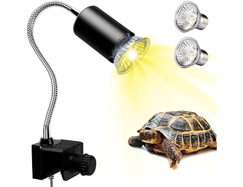 Best Turtle Lights for Health and Warmth {2024 Guide}