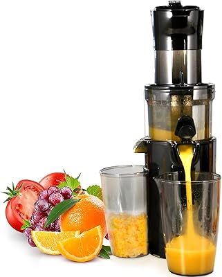 VEVOR Masticating Juicer, Cold Press Juicer Machine, Juice Extractor Maker with High Juice Yield, Easy to Clean with Brush, for High Nutrient Fruits Vegetables (Standard)