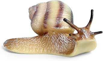 Snail Cochlea, 2 Colors, 3.5 inches 9 cm Class, Animals, Mollusks, Plastic Model, Birthday Gift, Realistic Figure, PVC Toy, Home, Car, Interior, Figurine, Opey, Scene Tool M-1667