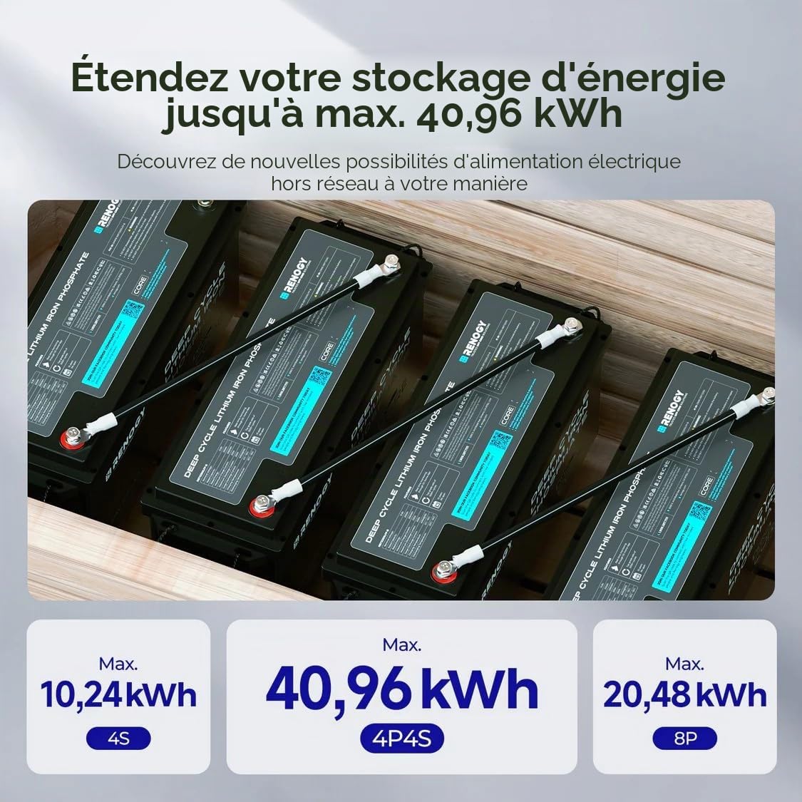 Renogy 12 V 200 Ah LiFePO4 Mini Batterie au Lithium, avec Bluetooth 200ABMS Protection complète pendant plus de 5000 décharges profondes, Batterie solaire 12 V, Parfaite pour les camping-cars marins
