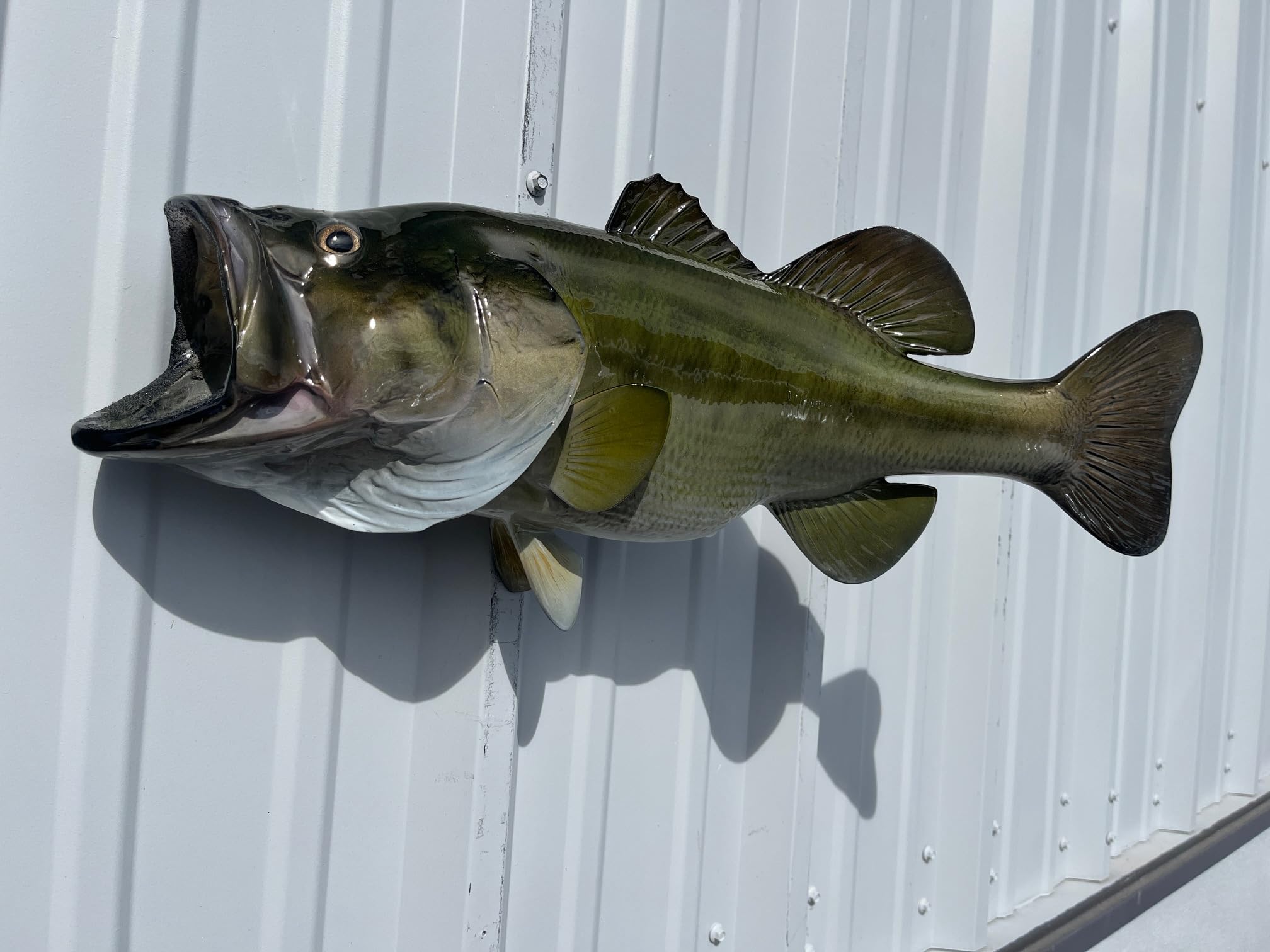 4日限定Large mouth Bass　壁掛け剥製 Large mouth Bass 壁掛け剥製 【公式通販】