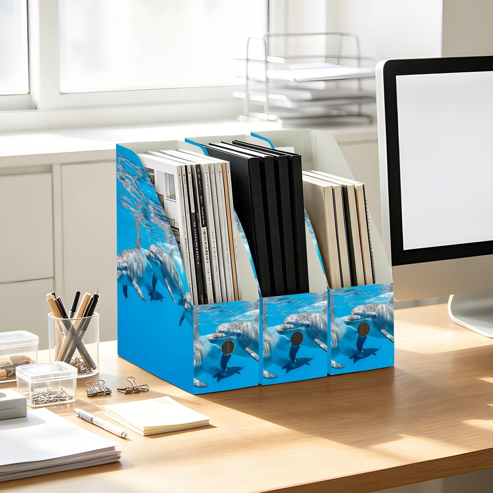 Liscio PP Cartoon Delfino Blu Portariviste File