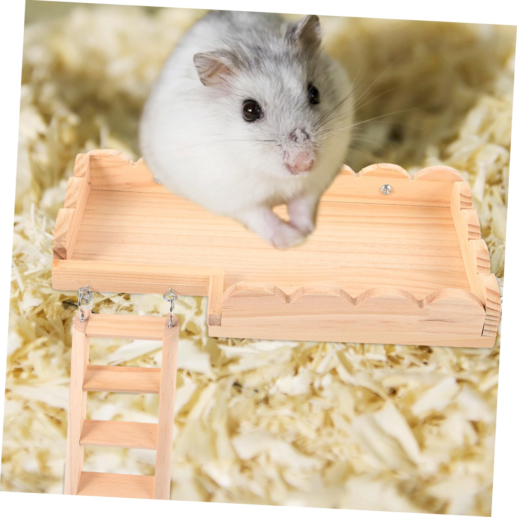 Toddmomy Hamsterplattform mit Kletterleiter Spielzeug für Kleintierkäfige Beißsichere Dekoration für Hamster und Rennmäuse