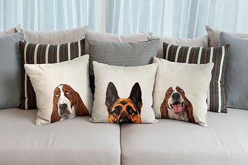 Miniatura 7 de WIRESTER Funda de almohada decorativa para sofá, para oficina en casa, 18 x 18 pulgadas, color negro y marrón