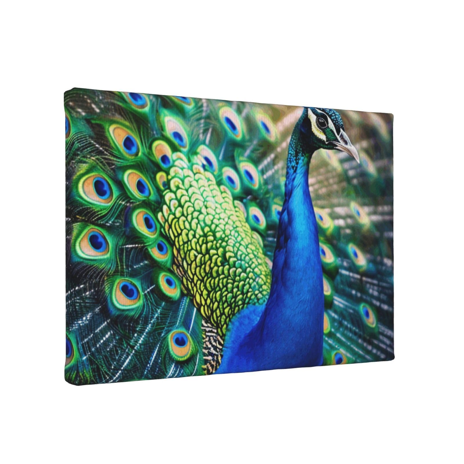 YKLJG Beautiful peacock Printed Wall Art Canvas Painting 30x20 CM Wooden Framed Picture Painting Artwork Prints for Bedroom Kitchen Home Office Decor