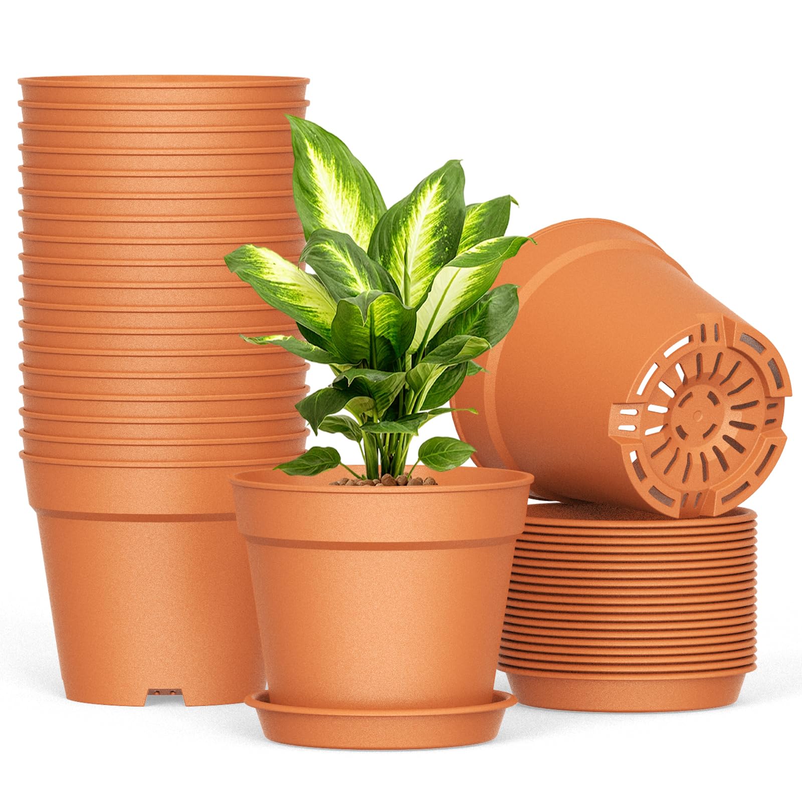 SwinDuck 20 Pack 6 Inch Plant Pots with Drainage and Saucers