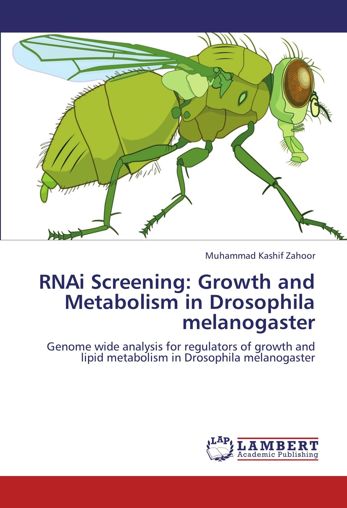 RNAi Screening: Growth and Metabolism in Drosophila melanogaster