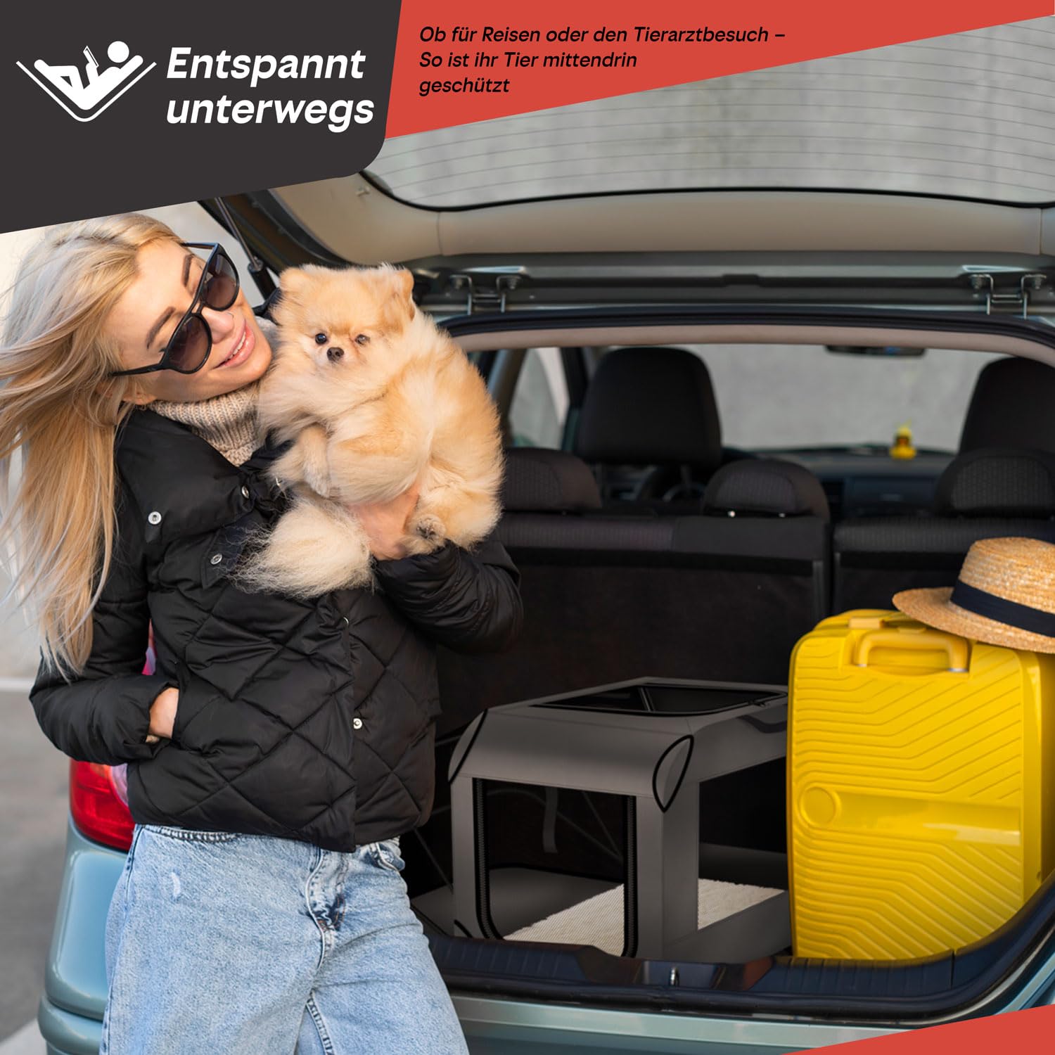 all Pets United® Składana torba transportowa dla psa i kota – 63x43x40 cm | Rozbudowa boczna, wodoodporny nylon Oxford, stalowa rama – idealna do pociągu, samochodu i samolotu