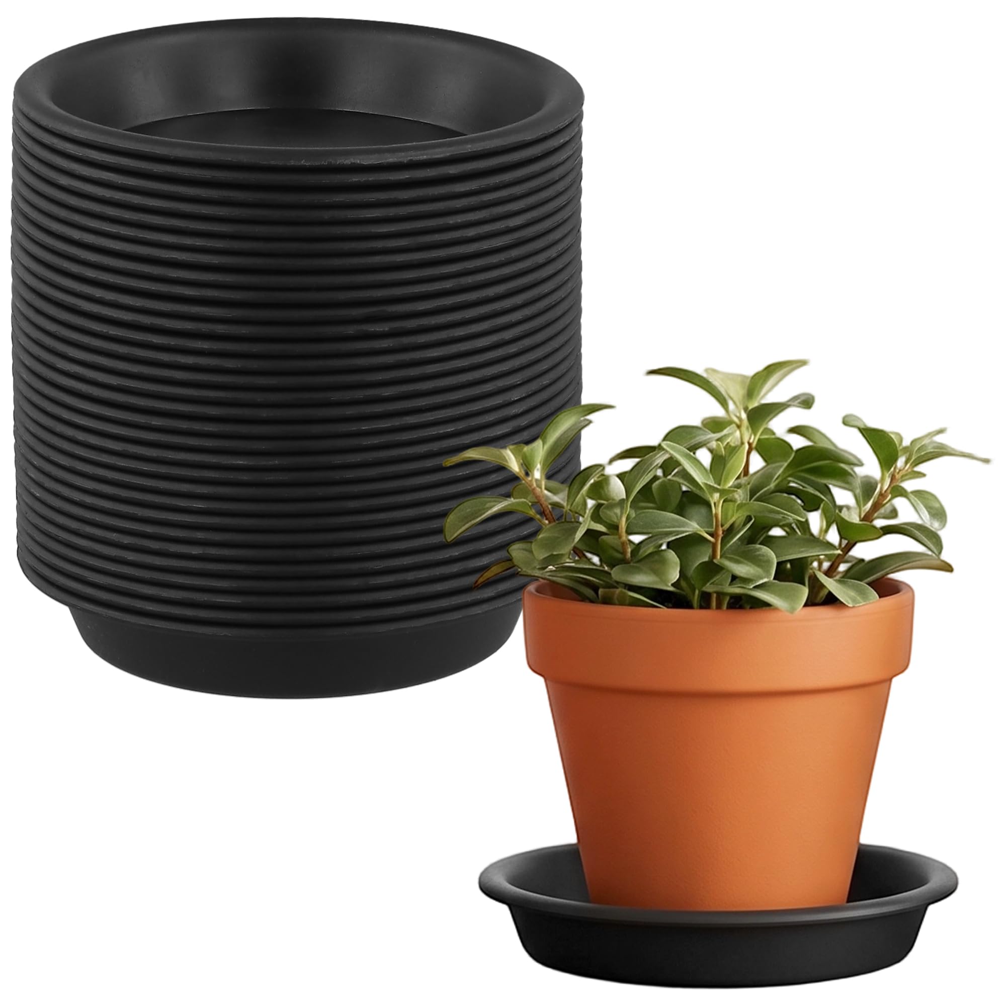 JOIKIT 30 Pack Black Round Plant Pot Saucers, 10cm Plastic Flower Pot Trays for Indoor, Outdoor, Garden