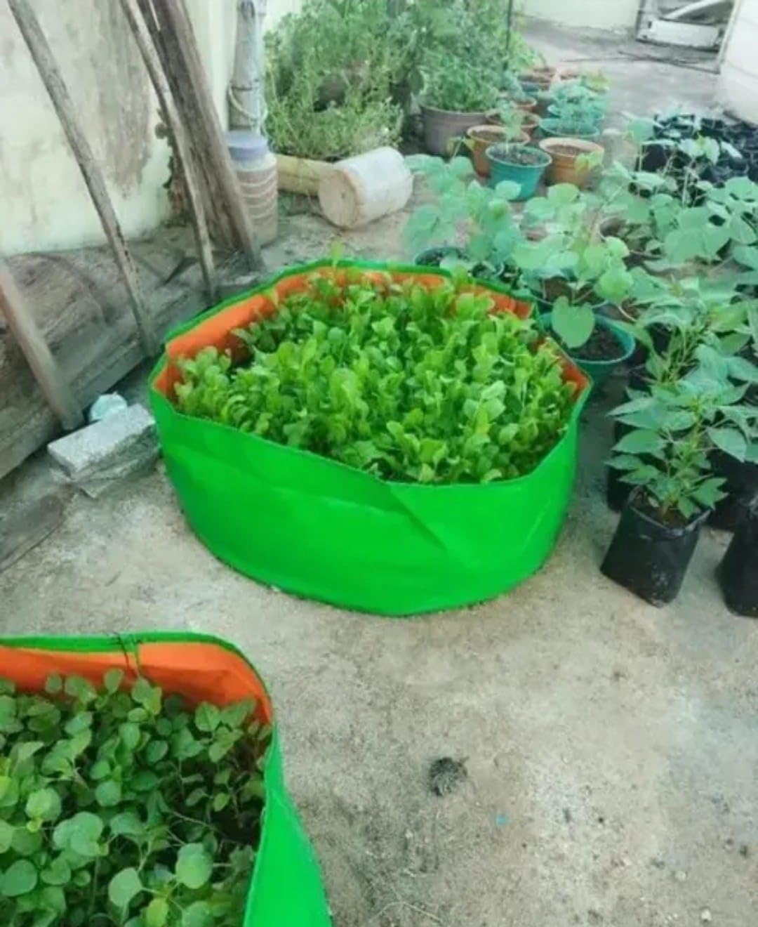 Premium HDPE Grow Bags - UV Protected & Durable -13