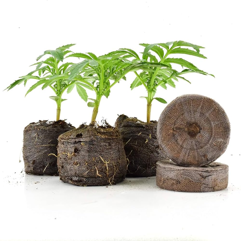 Jiffy-7 The Original 100% Peat Pellets, Propagating Seeds and Cuttings Or Tissue Culture for Stronger Roots, Biodegradable Net. Product of Canada. 100 Pellets (42mm) - 4