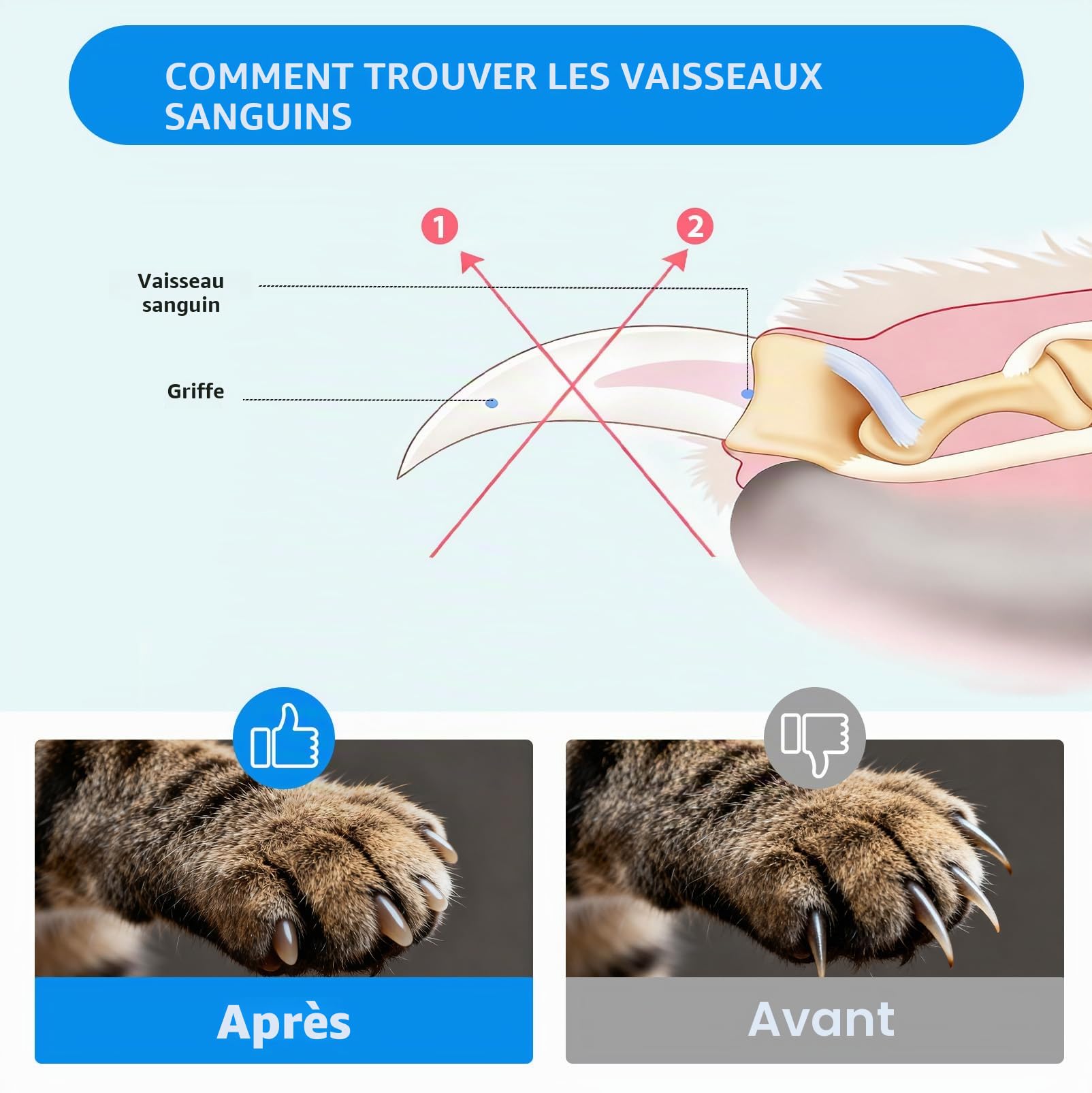 Coupe Ongle Chien et Chat, Coupe Griffes Chien Professionnelle en Acier Inoxydable pour Animaux de Compagnie, Contient Un fichier, Idéal pour Chiens Moyens et Grands, Chats, Lapins et Autres