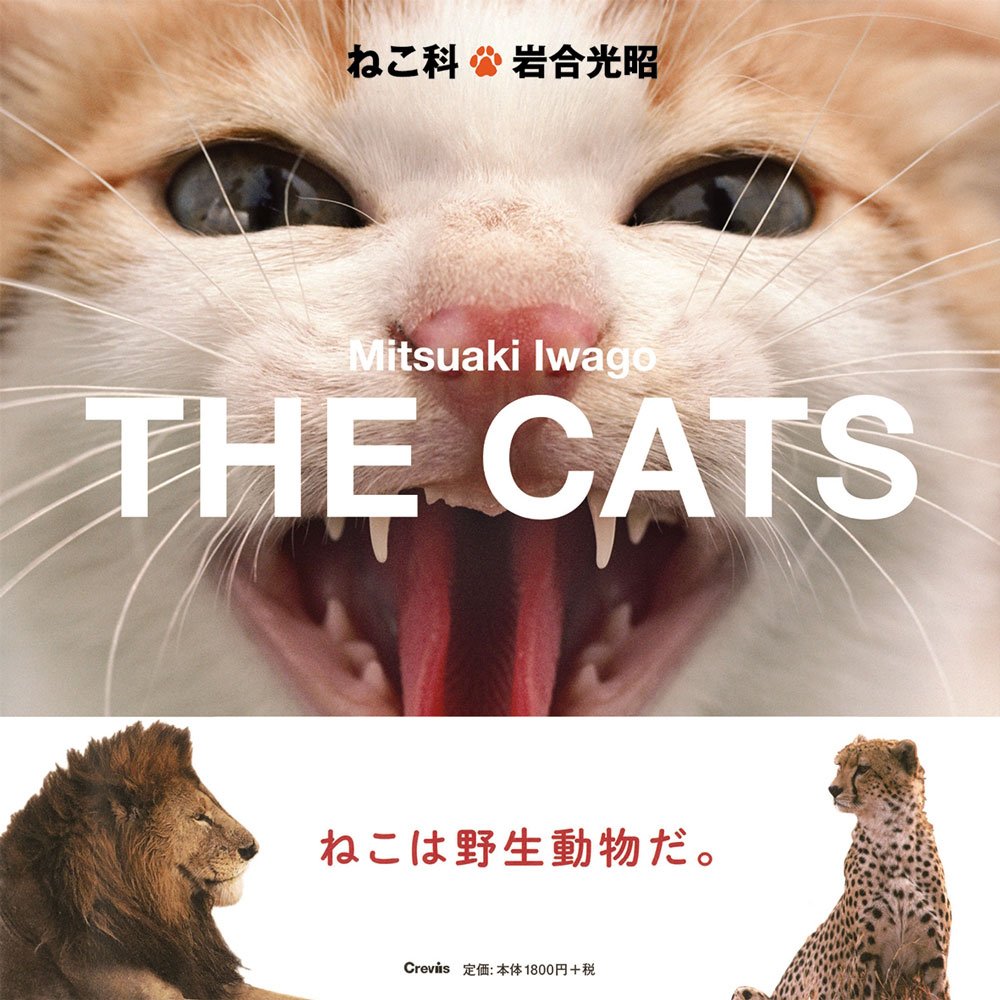 ねこ科 岩合 光昭 本 通販 Amazon