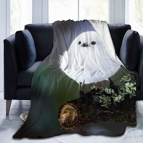 Amazon Co Jp 毛布 もうふ ブランケット ひざ掛け 大判 シマエナガ かわいい 鳥 雪 北海道 フランネル ふわふわ あったか 柔らか 肌触り 冷房対策 防ダニ加工 丸洗いok 静電気防止 マイクロファイバー 秋冬 通年使用 ホーム キッチン