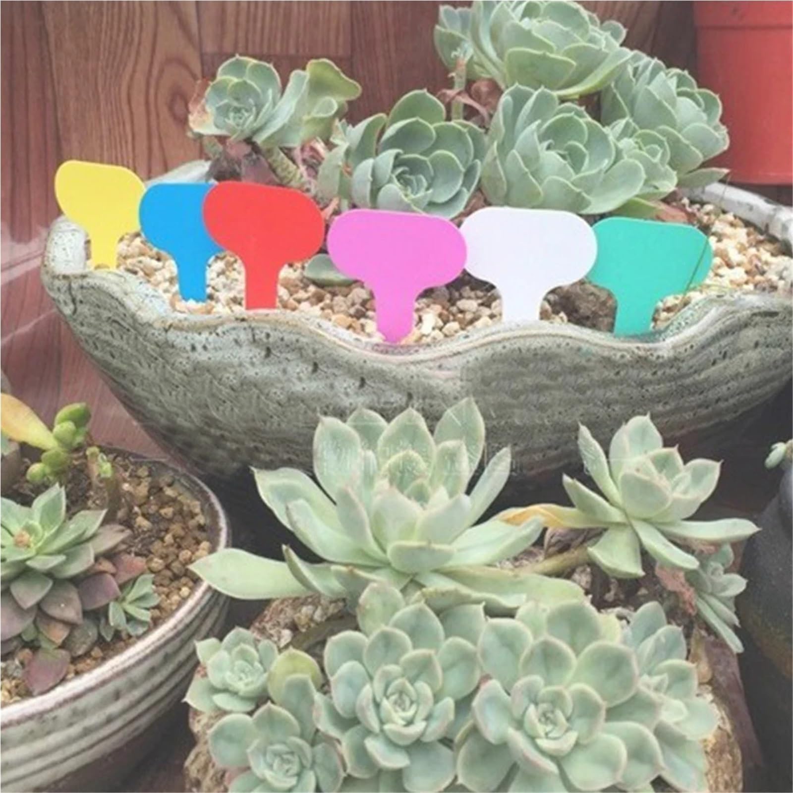 100 bunte PVC-Gartenetiketten für Pflanzen Blumen