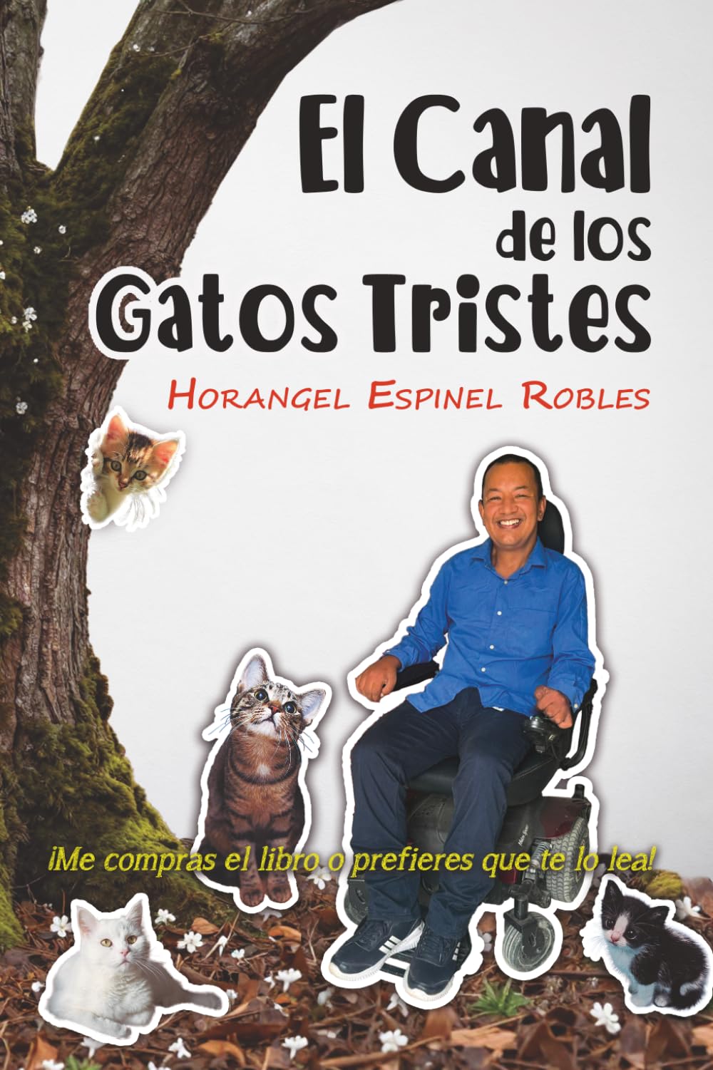 El canal de los gatos tristes