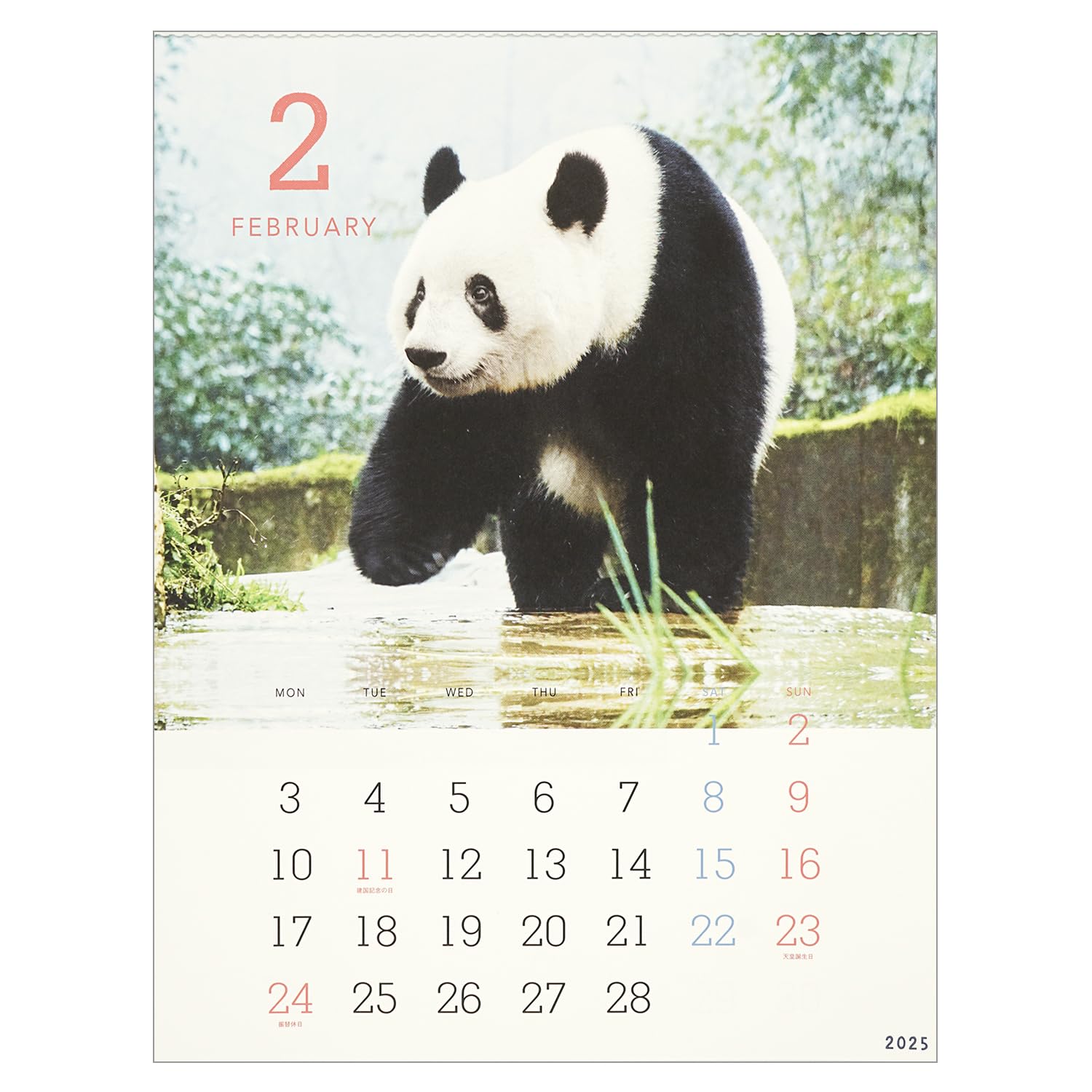 Amazon.co.jp: グリーティングライフ 2025年 カレンダー シャンシャン