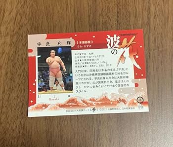 Amazon.co.jp: 大相撲 宇良 BMM大相撲カード×3枚 大相撲