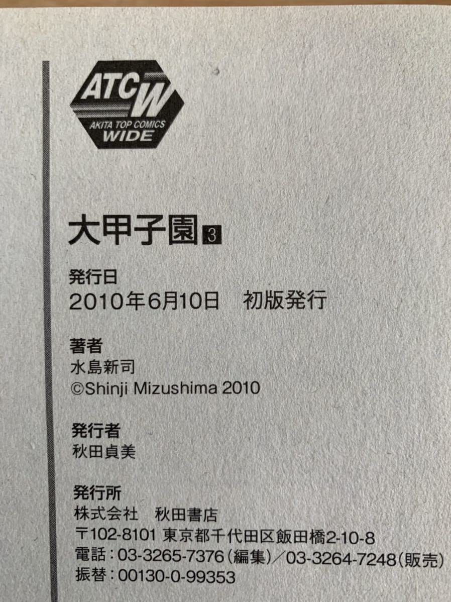 【中古】 大甲子園 ９/秋田書店/水島新司 大甲子園 9 /秋田書店/水島新司（文庫）の通販 by VALUEBOOKS