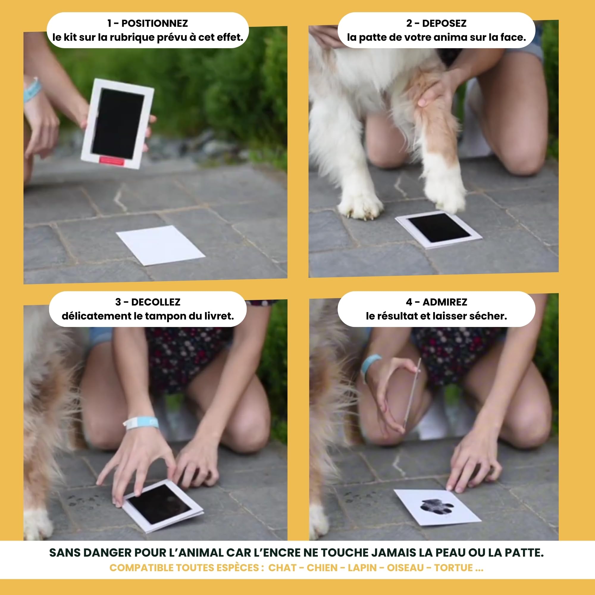 Livret de Famille Animalier, Fabriqué en France, Kit Empreintes Inclus Sans Danger, Souvenir Unique et Intemporel pour Animaux, Compatible Toutes Espèces. (Classique (4 animaux) + 1 kit empreintes) - 4