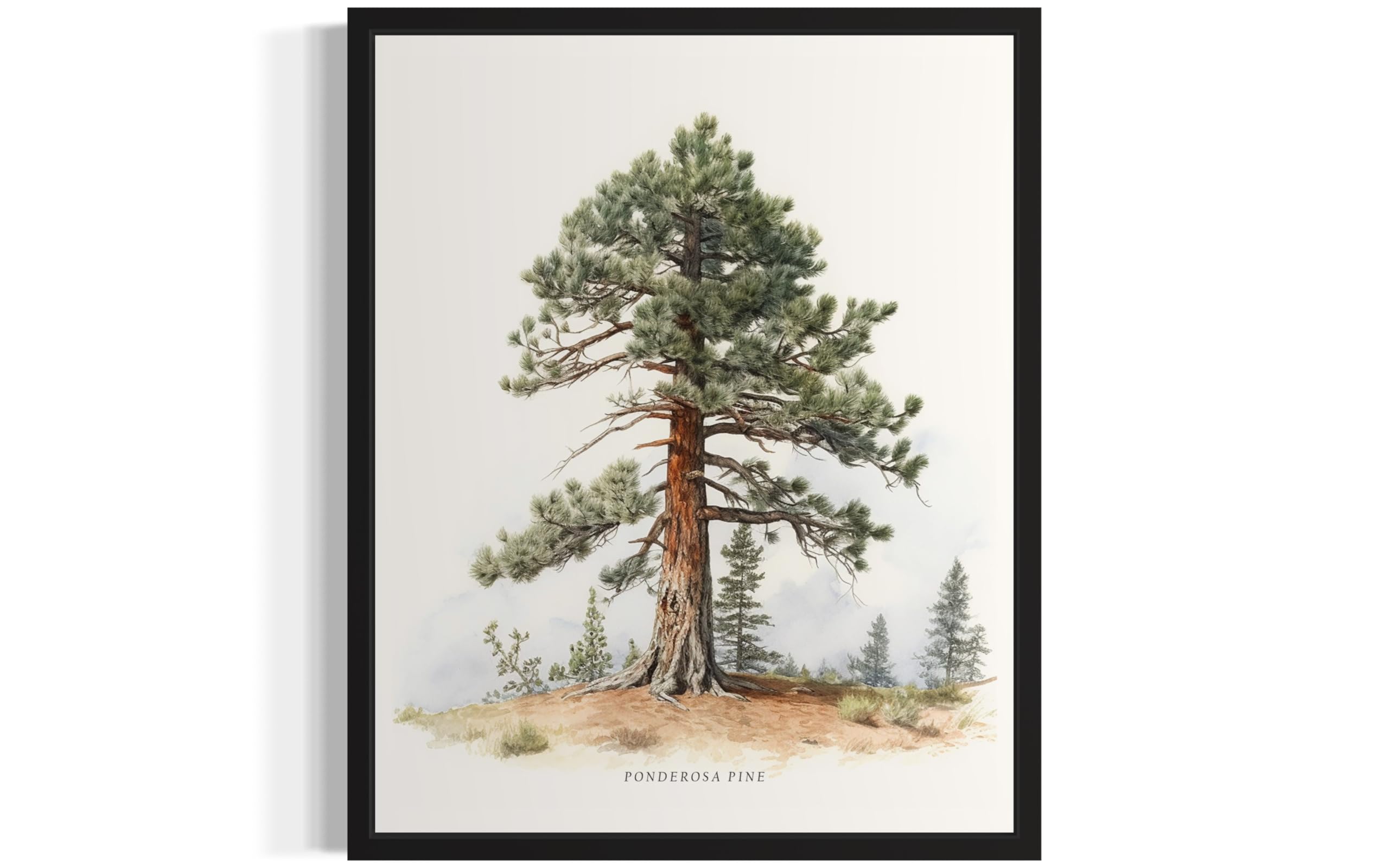 HomeArtPrint Ponderosa Pine Tree Poster Wall Art Painting, Pine Trees Nature Print Artwork, Vintage Art for Bedroom Bathroom Living Room Decor 78 (16