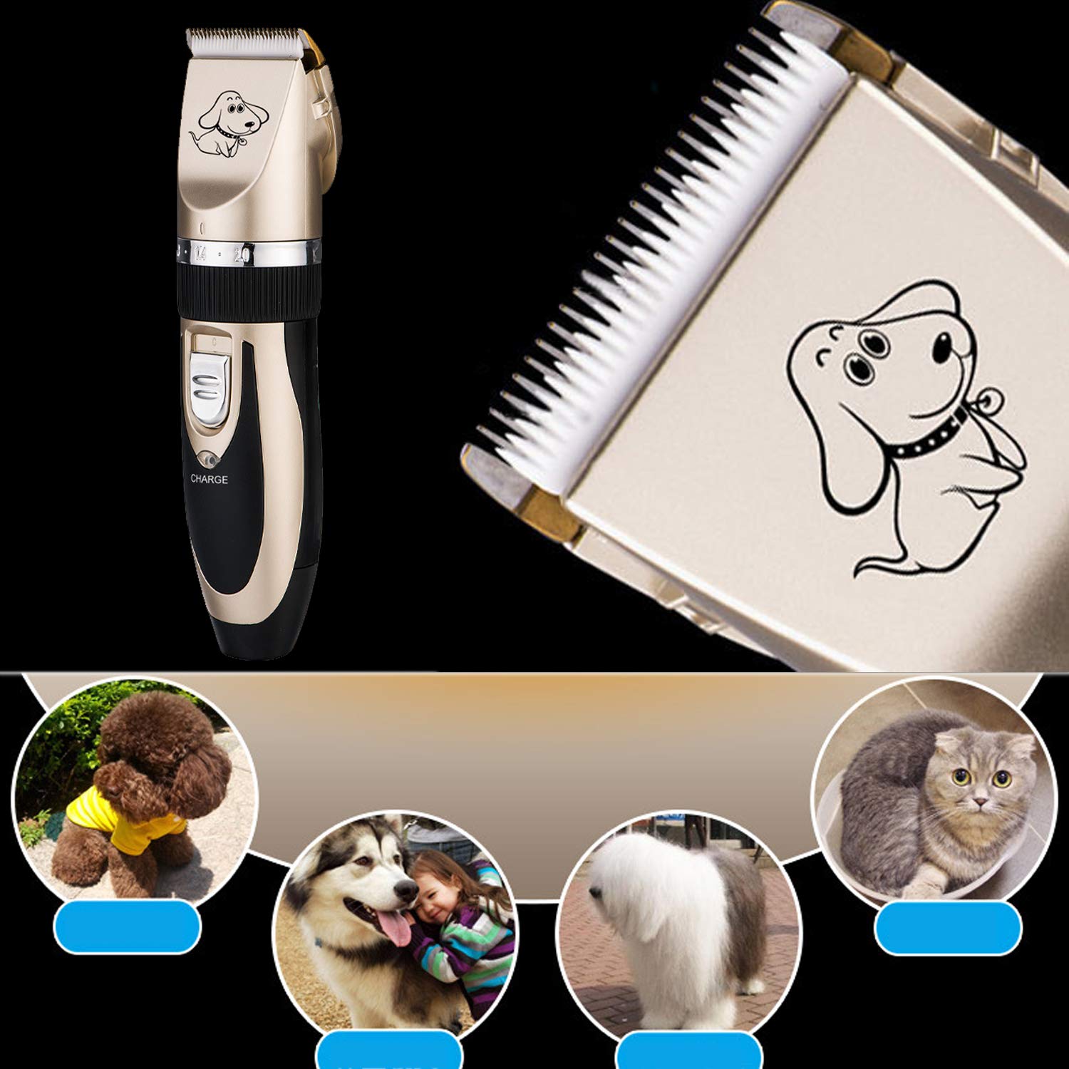 Tondeuse Chien Chat Charge Rapide Kit Rechargeable Rasoir Toilettage Lame Détachable Lavable Bruit Faible Or 17.5 * 4.5cm