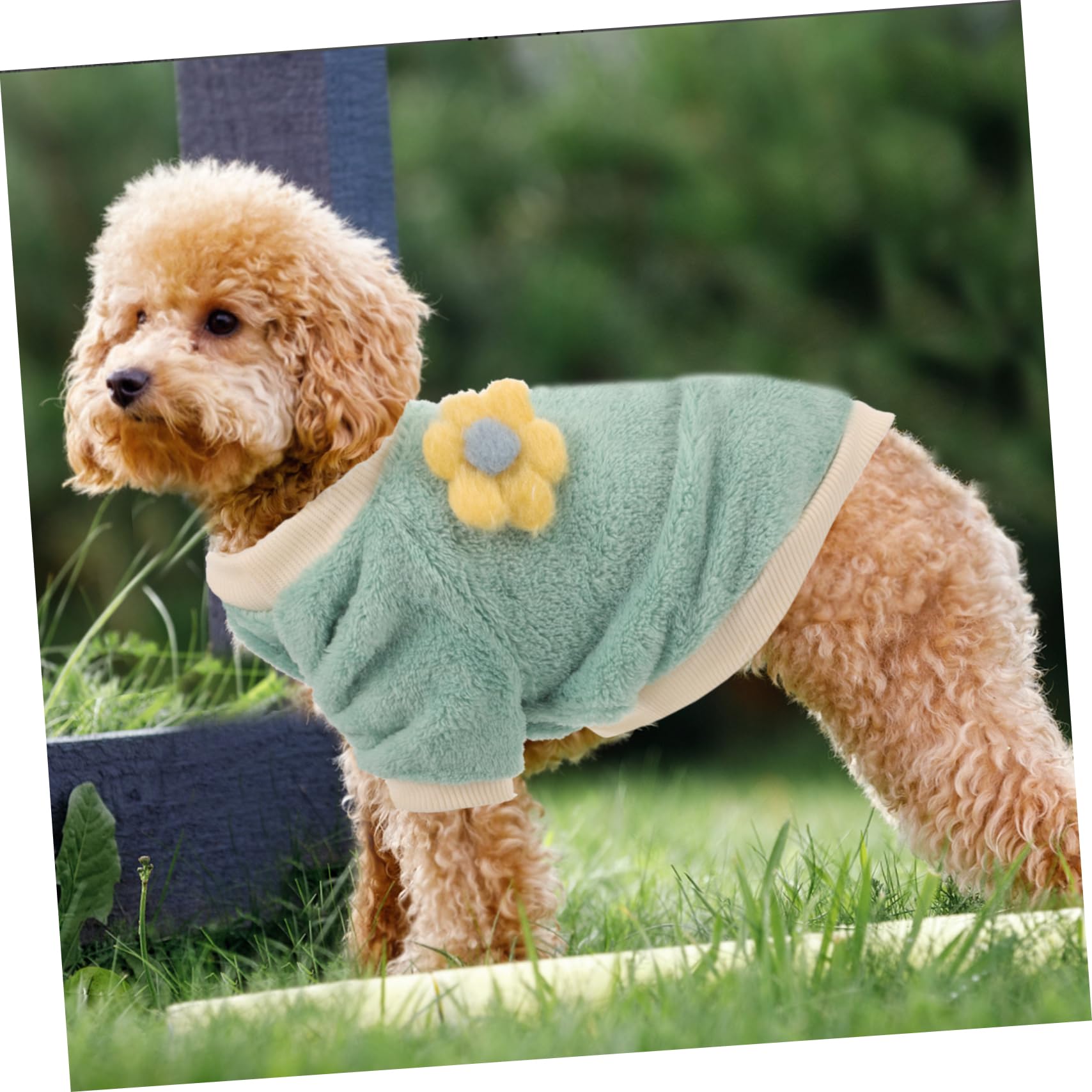 ifundom Manteau pour Chien Pull-Over Chaud Vêtement Amusant pour Animal de Compagnie Costume Facile à Enfiler