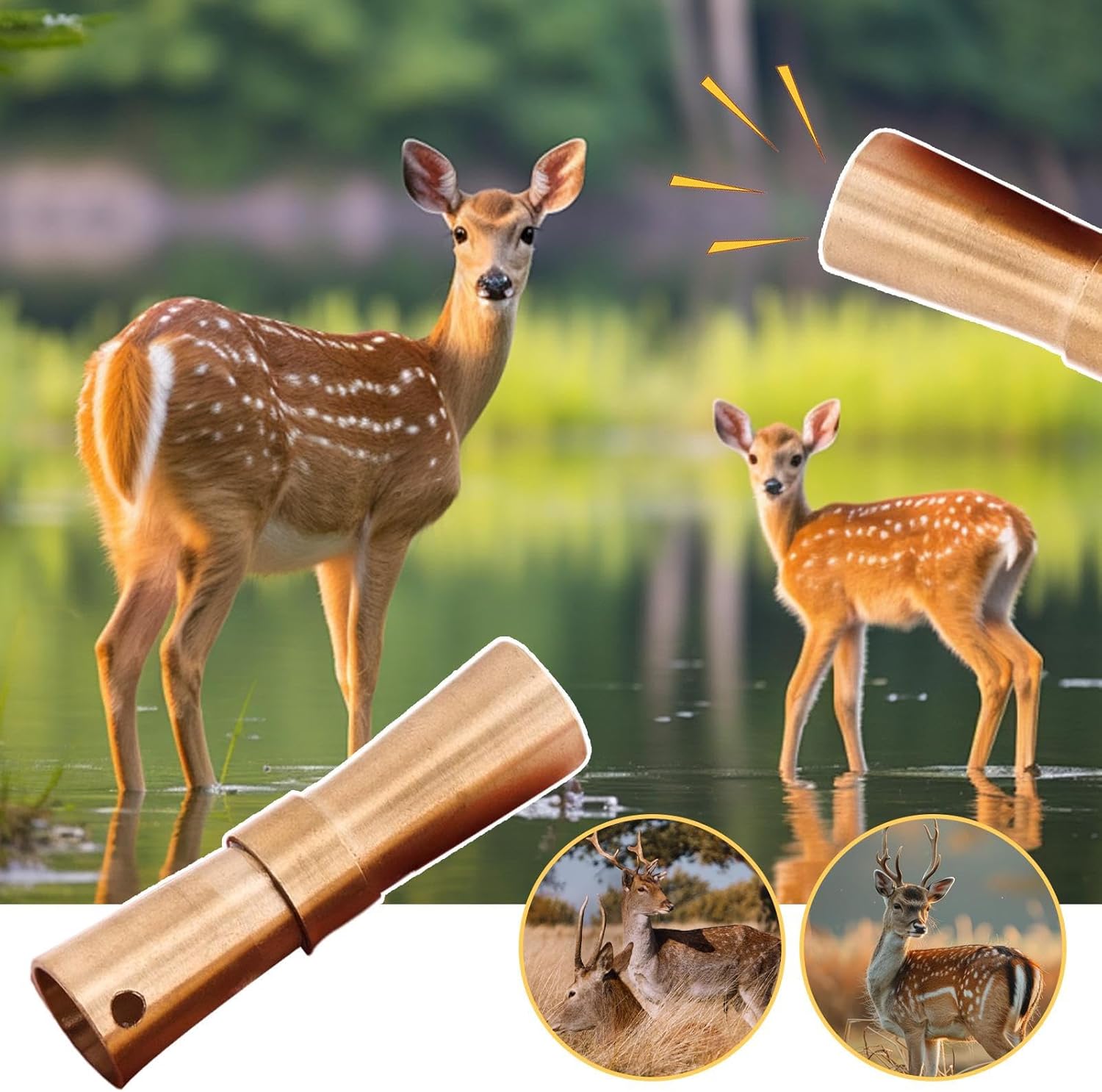 ダイアナ セルディア シェイク ショコラ 18袋 ダイアナ オンライン