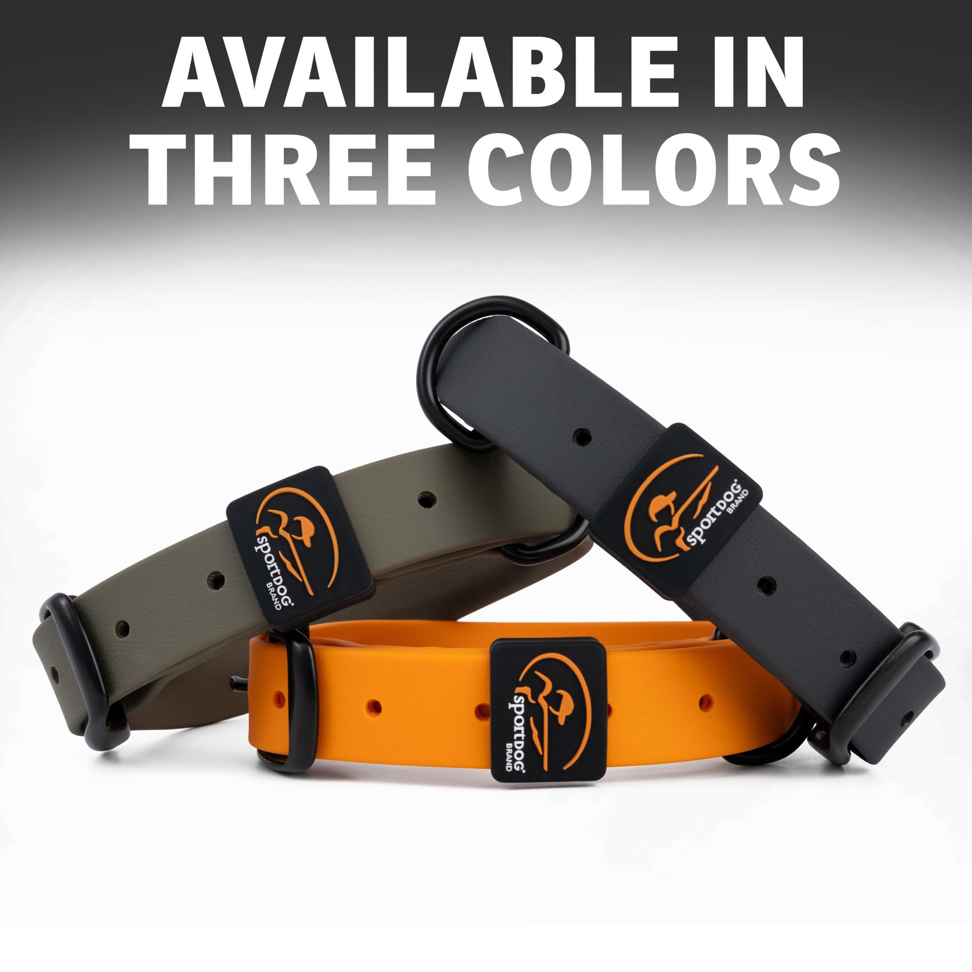 SportDOG Robusto collare multiuso – impermeabile e antiodore – Materiale morbido al tatto di alta qualità – hardware resistente e resistente – cinturino in silicone – arancione – M