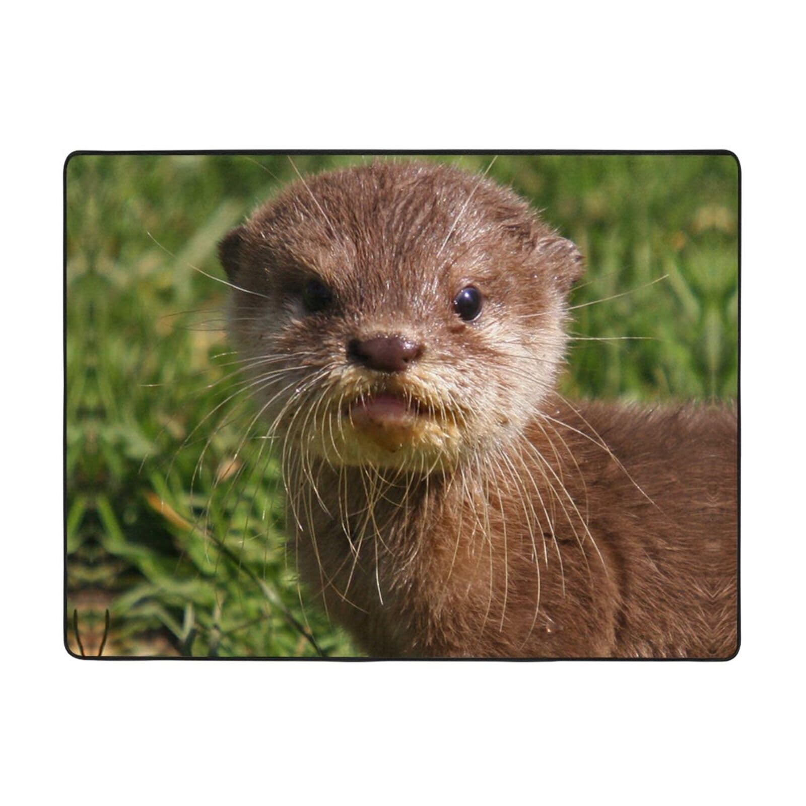 Tapis de chambre loutre mignonne en flanelle douce pour enfant