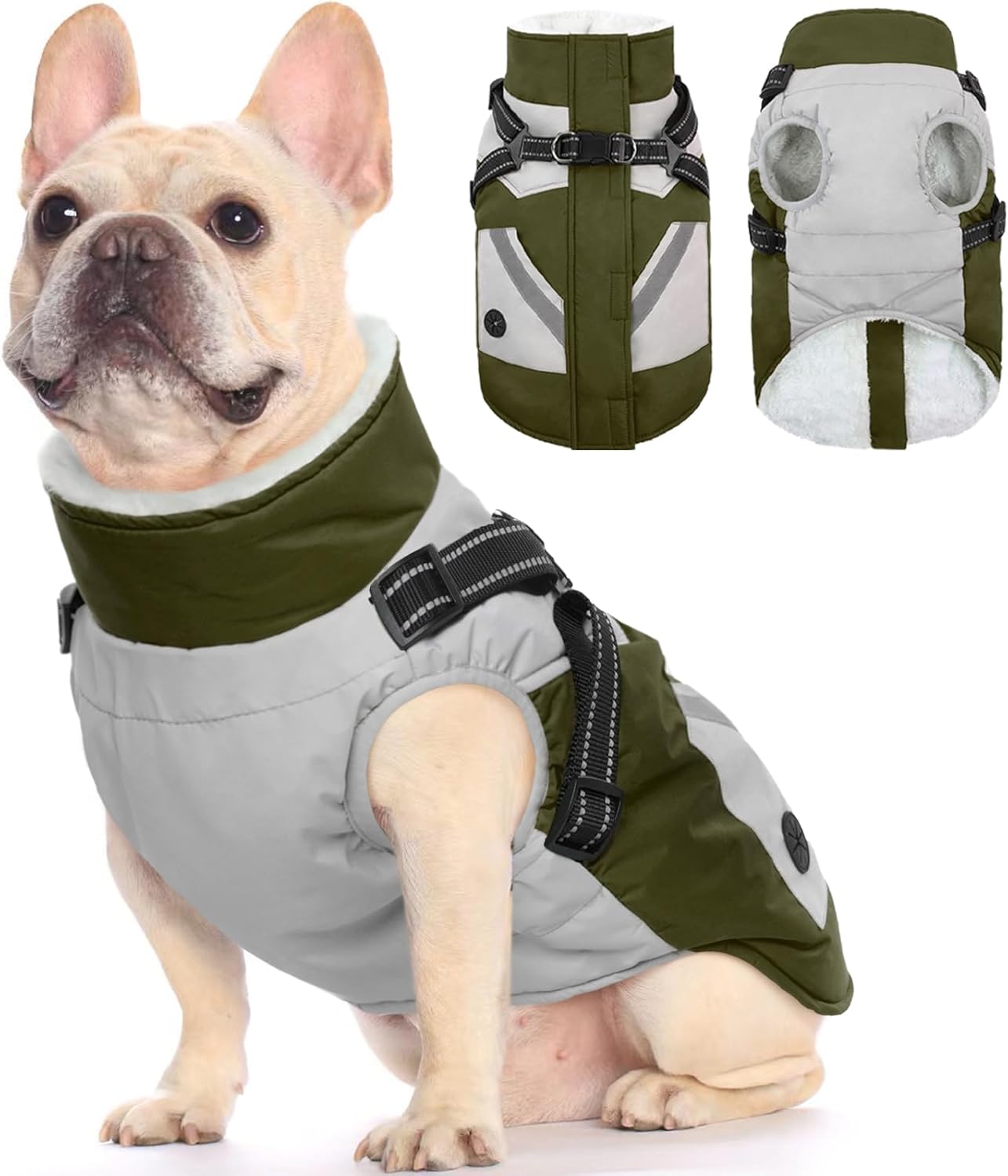 Dinosaur Dog Jacket Large Dog Clothes For Pitbulls Carhartt Dog