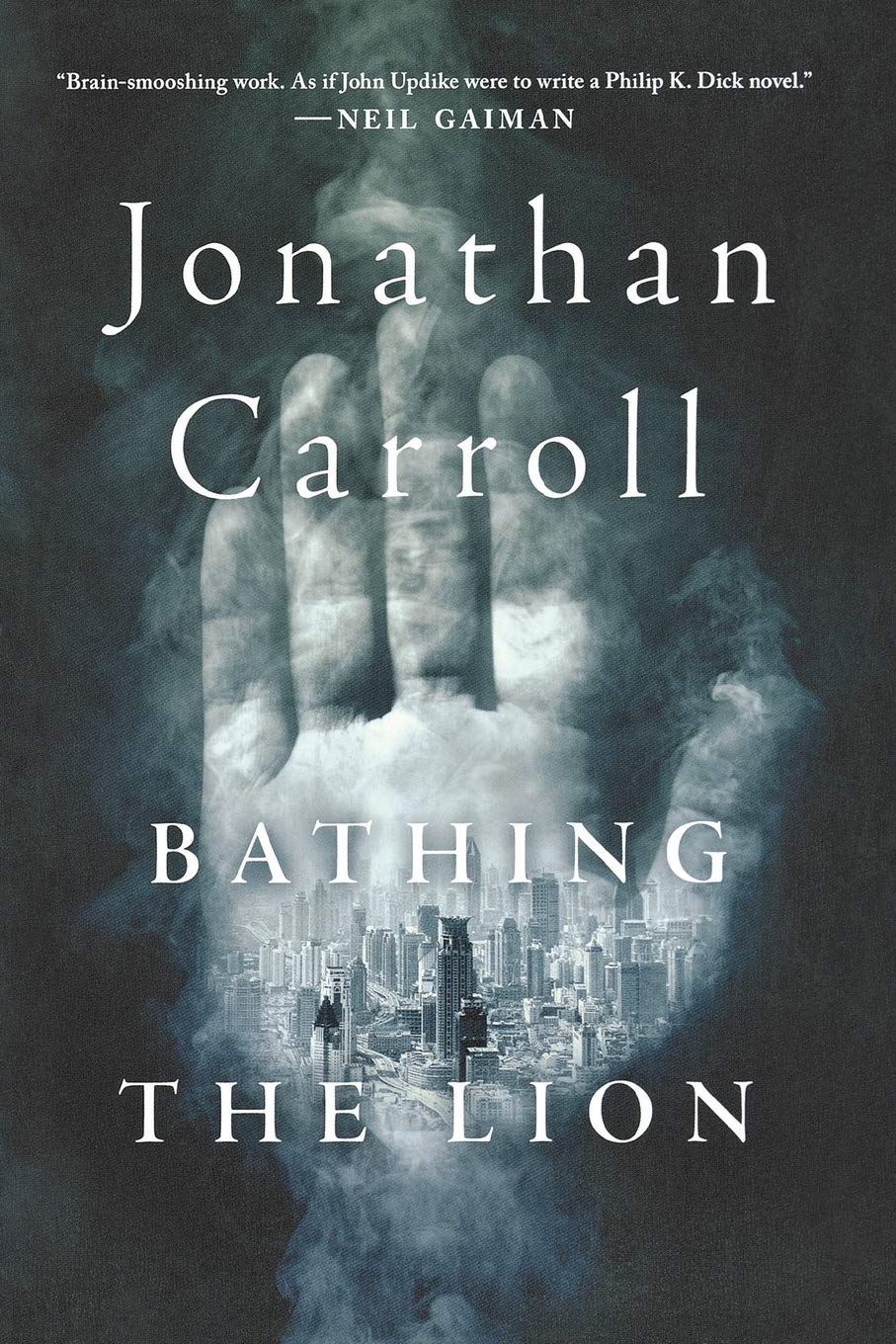 Bathing the Lion: A Novel