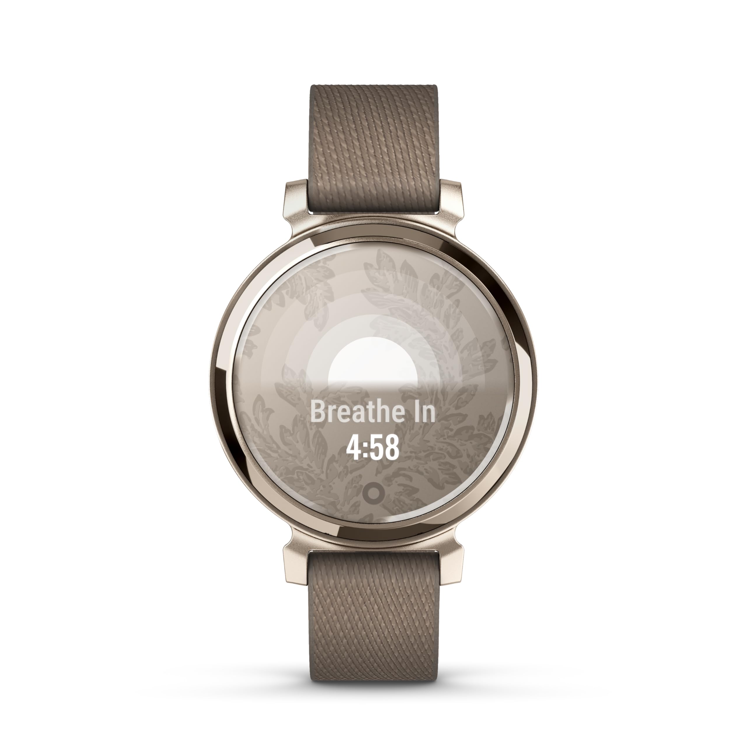 Garmin Lily 2 Classic Cream Gold/Coffee : Amazon.co.za: Electronics