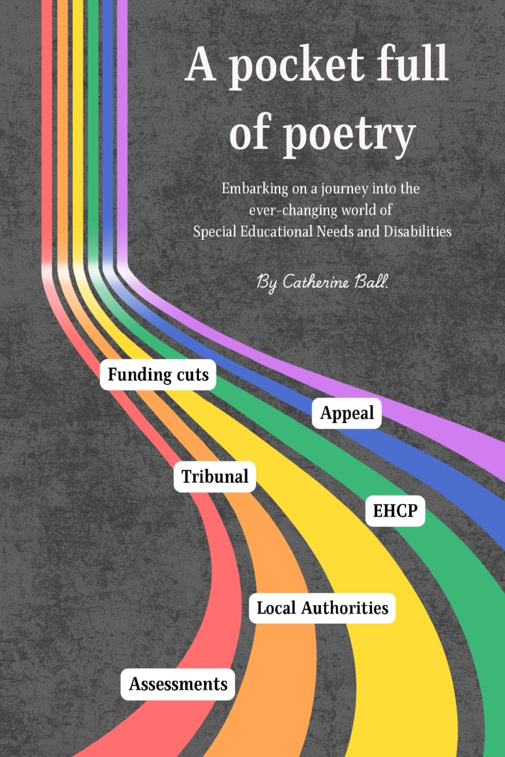 A pocket full of poetry: Embarking on a journey into the ever changing world of Special Educational Needs and Disabilities