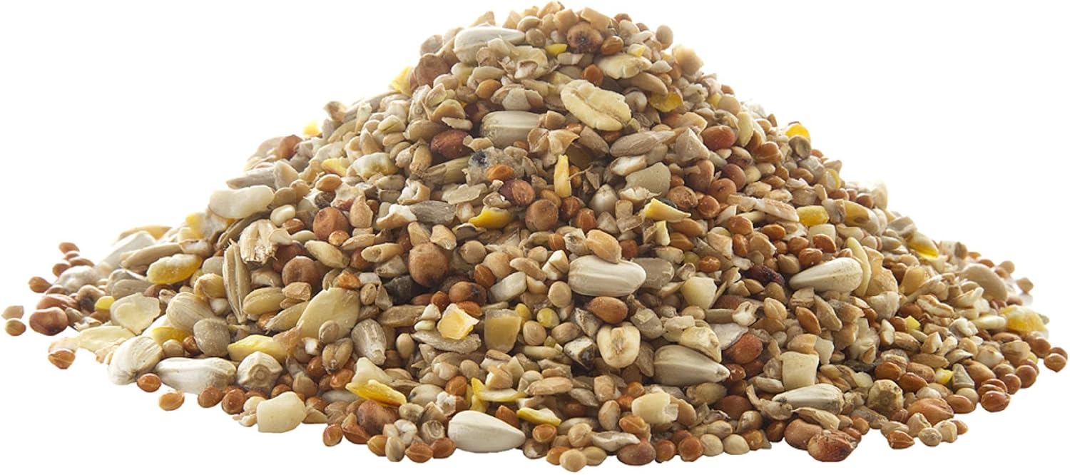 Peckish Complete Wild Bird Seed Ready to Use Bird Feeder, Green - Image 3