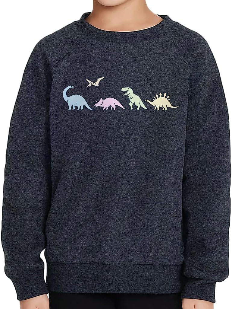 Cute Dinosaurs Toddler Raglan Sweatshirt - Dino Lover Boy Clothing - Boy Clothing