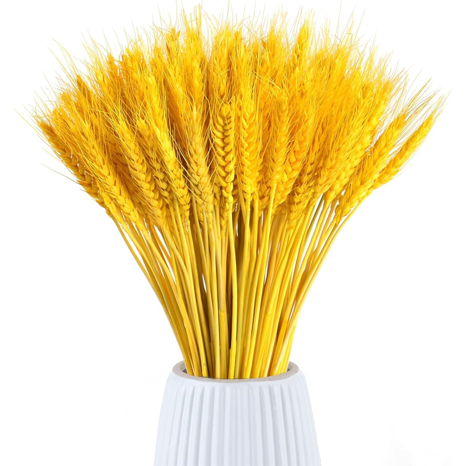 Produktbild von 100 Stück Weizen Dried Flowers, Natürliche Strohblumen