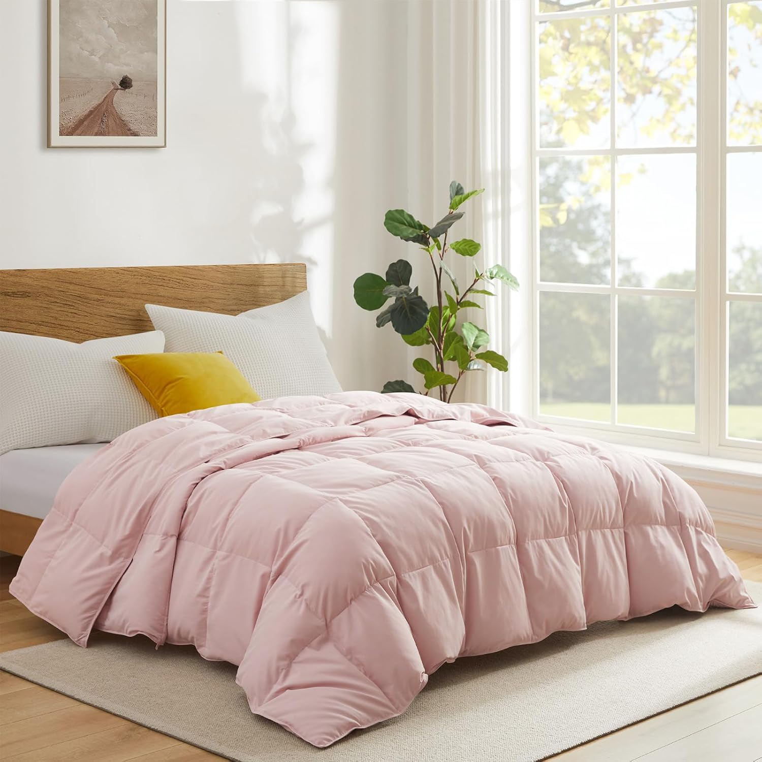 Cozy Up To These Deals!