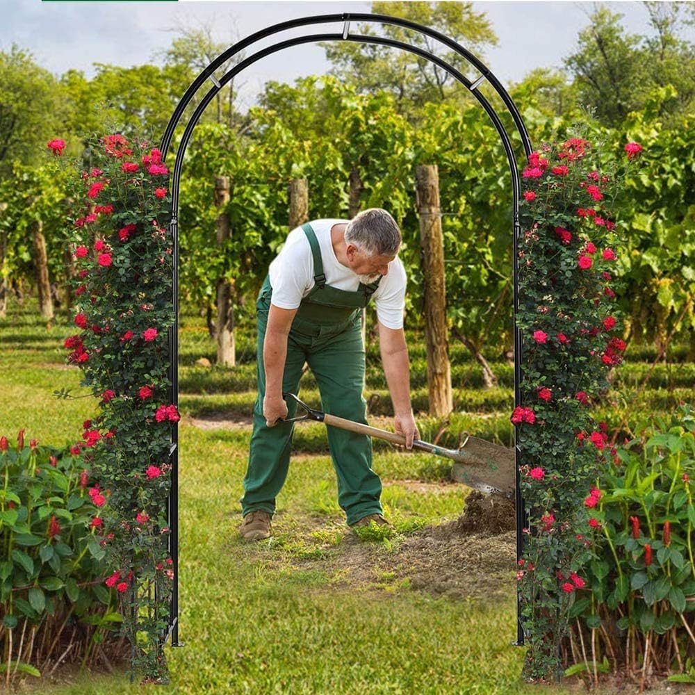 26日まで10倍】ガーデンアーチ ローズアーチ アーチ 鉄製 園芸 組立