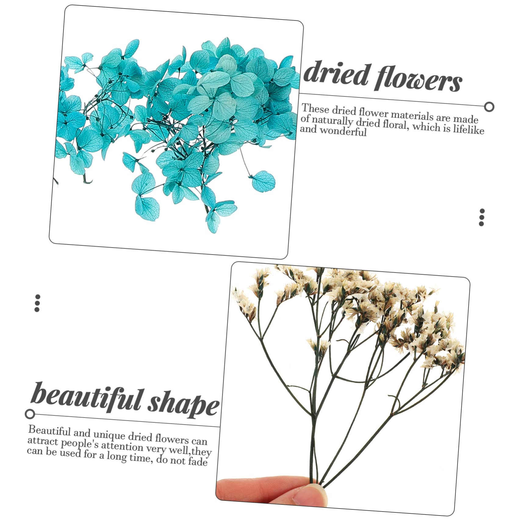 Alipis 5 Set Pacchetto di Materiale per Fiori secchi Arredamento Ortensia Fiori secchi pressati Floreale peonie goffratura Decora Fiori pressati di San Fai da Te Blue